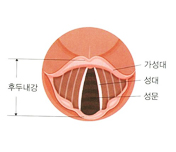 오디션반